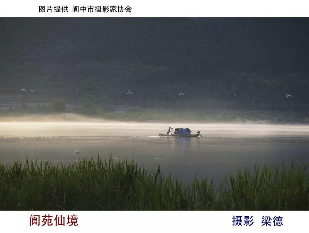 小犀牛救援