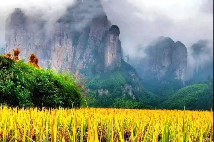 高考倒计时 30 天，你想对准备高考的TA或自己说些什么？游戏画面