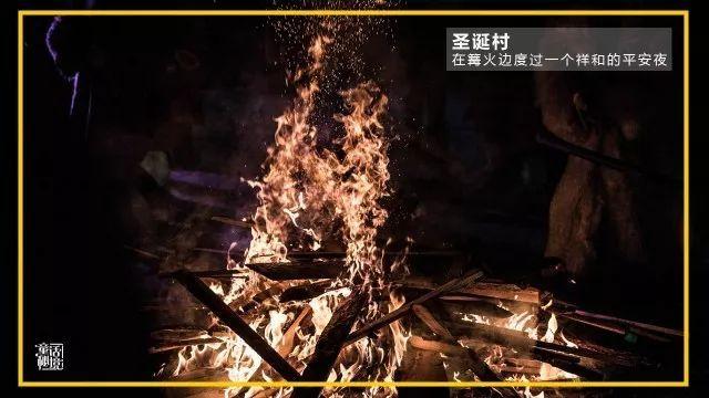 冲浪骑士