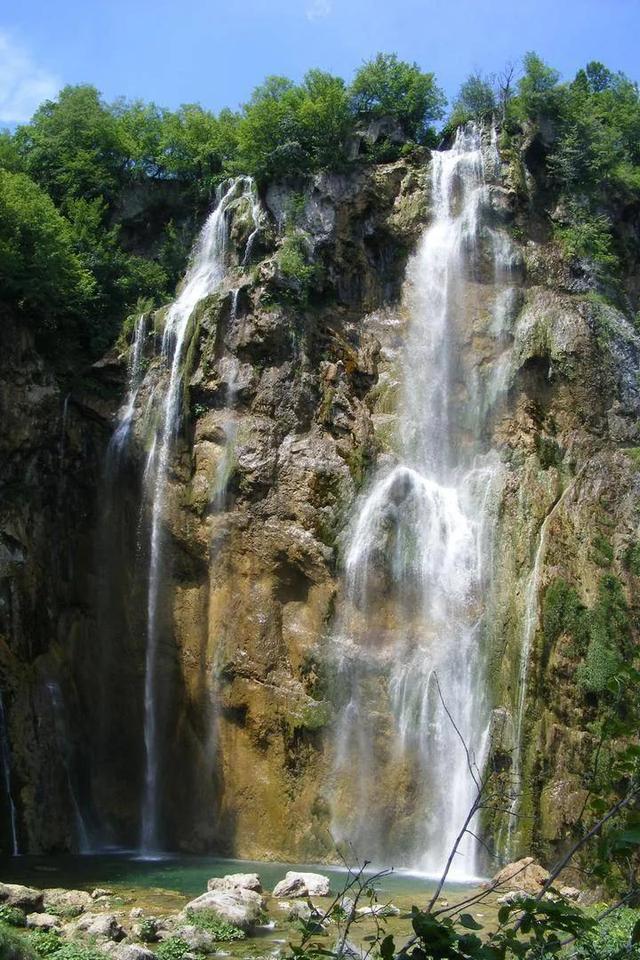 解救金刚鹦鹉
