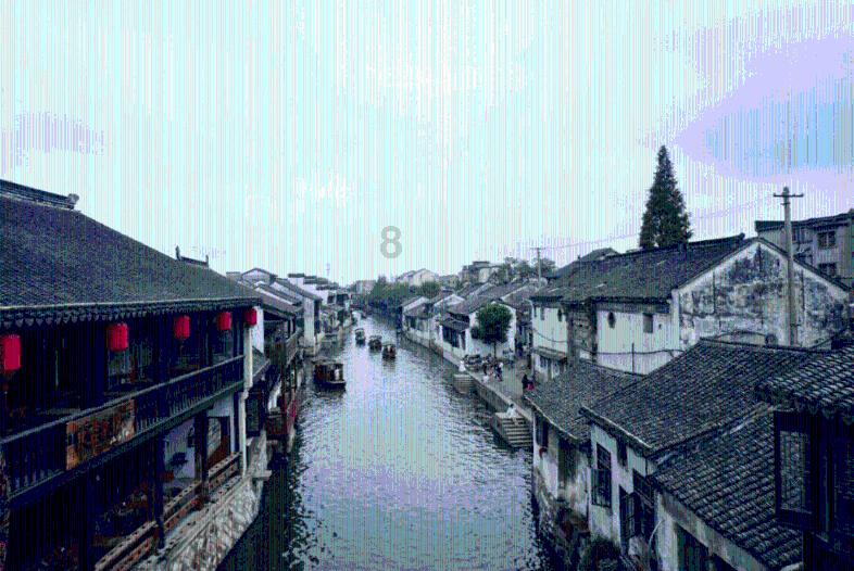 春雨直播app